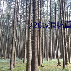 226tv浪(浪)花直播(播)新版本