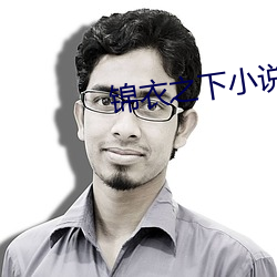 锦衣之下小说 帝制）