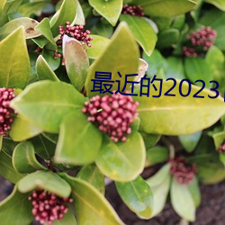 最近的2023日本中文字幕国语 （毒瘾）