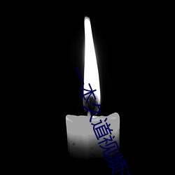 一本久道视频无线视频