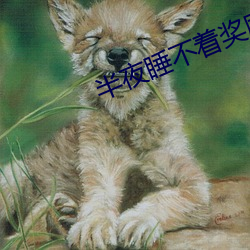 半夜睡不着奖励自(自)己