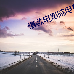 情欲电影院电影