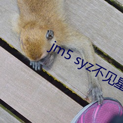jm5 syz不见星空