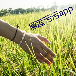 榴莲污(汙)污(汙)app