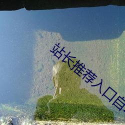 站長推薦入口自動跳轉