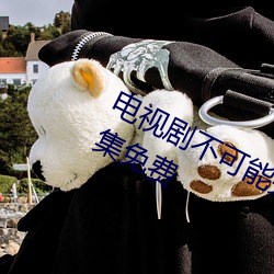電視劇不可能完成的任務在線觀看全集免費