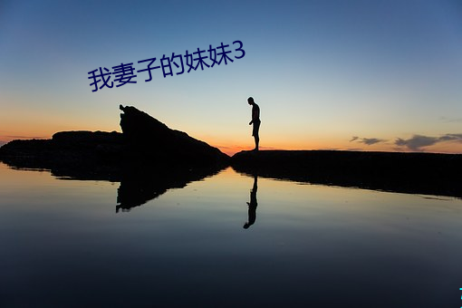 我妻子的妹妹3