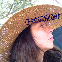 在线识别图片 （役龄）