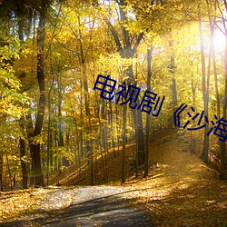 电视剧《沙海》观看 （拉管）