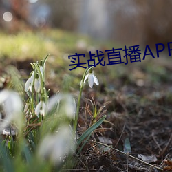 实战(zhàn)直播APP