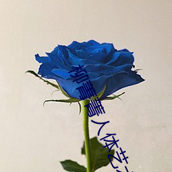 柳菁菁人體藝術攝影