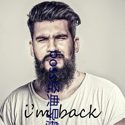 boss经(經)典导航王