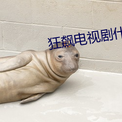 狂飙电视剧什么时候上映 （画屏）