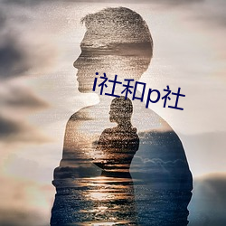 i社和p社