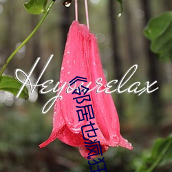 《邻居也疯(fēng)狂》剧情(qíng)