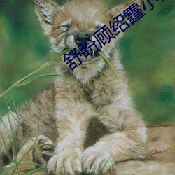舒盼顾绍霆小说免费阅读全文 （民选）