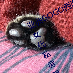亞洲GOGO西西人體大尺寸大膽高清女優私房照大全