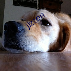 jizzon