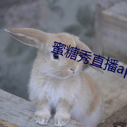 蜜糖秀直播app