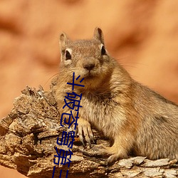 鬥破蒼穹第三季第七集百度雲