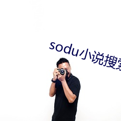 sodu小说搜索