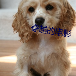穿越的电影 （无人之地）