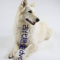 古代艳史dvd片