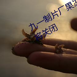 &#x5546;&#21153;&#x51FA;&#24046;&#x4E0E;&#25140;&#x7EFF;&#24125;&#x5B50;&#22899;&#x8001;&#26495;app&#19979;&#x8F7D;&#23458;&#x6237;&#31471;