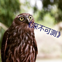 《深(深)不(不)可(可)测》未删减版(版)
