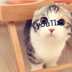 《youTIzz （别人）