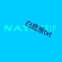 白鹿原txt