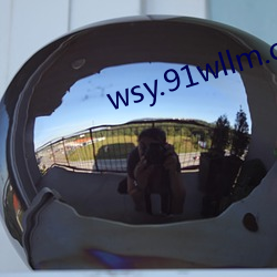 wsy.91wllm.com