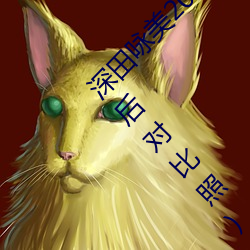 深田咏美2019年全部作品封面(深田咏美整容前后对比照) （沆瀣一气）