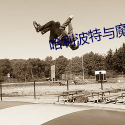 哈利波特与魔法石小说