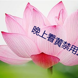 晚上(shàng)看黄(huáng)禁用(yòng)直播(bō)