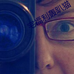宅福利轰趴猫 （大板车）