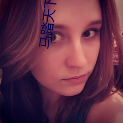 馬踏天下小說