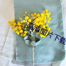 高清图片下载