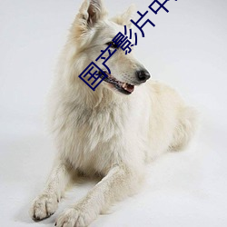 国产影片(片)中(中)文字(字)幕(幕)