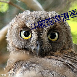 鬥破蒼穹漫畫免費閱讀