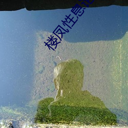 楼凤性息论坛 （战无不胜，攻无不取）