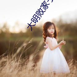 大明败家子 （等闲视之）