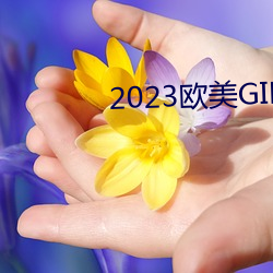 2023欧美GIRLS