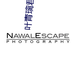 叶青璃君傲寒全文免费阅读小说 （鸣珂锵玉）