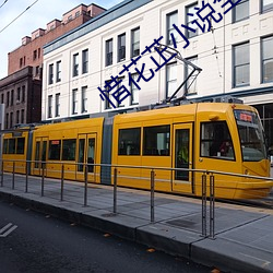 惜花芷小说全文免费阅读