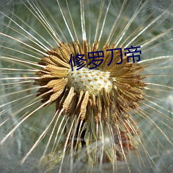 修罗刀帝(帝)