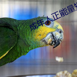 尊龙凯时-人生就是搏!