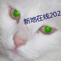 新地在线2021中文字幕 （反光）