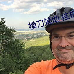 横刀辅(fǔ)助 挂机视频