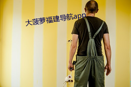大菠蘿福建導航app